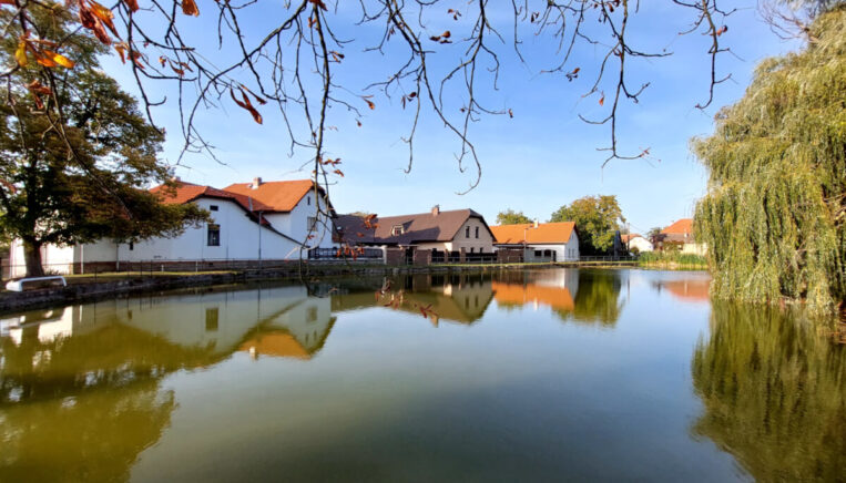 obec Doubek - rybník